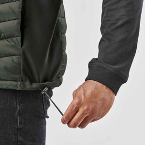 import placeholder for pdv1